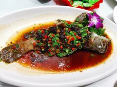 -小贝壳酒楼(经九路店)