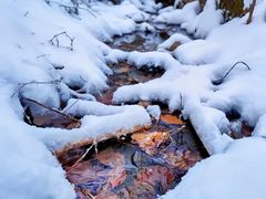 -鲁山国家森林公园
