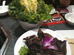 -鼎汇丰重庆老火锅(鞍顺园店)