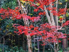 -黄公望隐居地