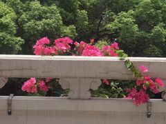 -杭州香格里拉·香宫中餐厅