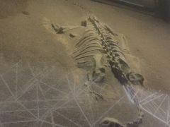 -世界恐龙谷景区