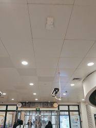 -上海交通大学医学院附属上海儿童医学中心(陆家嘴总院区)