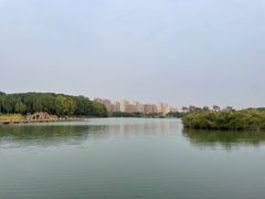 -香山公园