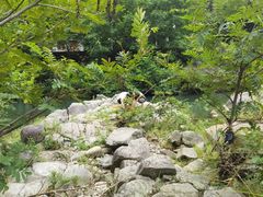 -鹿亭中村