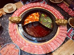 奔驰锅底-蜀大侠火锅(森兰花园城店)