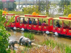 -江门古劳水乡旅游区