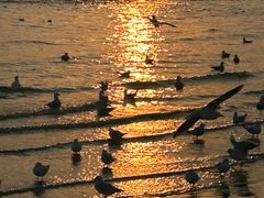 -老虎石海上公园