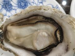 -蚝专家(北滘店)