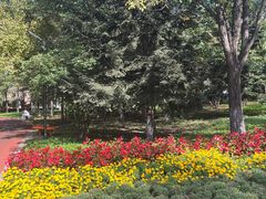 -黛秀湖公园