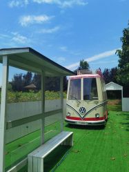 -DORA kids 朵拉儿童摄影花园店