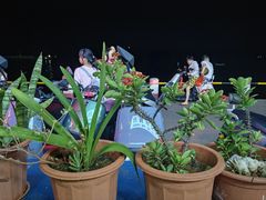 -花乐餐厅(涠洲岛店)