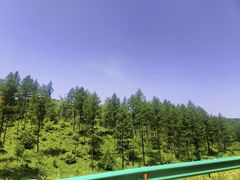 -塞罕坝国家级自然保护区