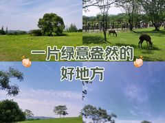 -良渚古城遗址公园