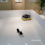 深圳首家｜遇见萌宠体验馆🐰