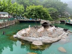 -大连老虎滩海洋公园
