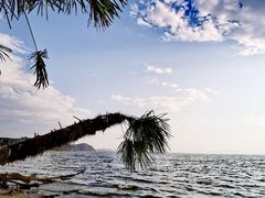 -捞渔河湿地公园