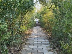 -元大都城垣遗址公园