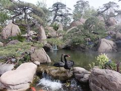 -罗红摄影艺术馆