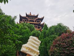 -黄鹤楼公园(黄鹤楼)