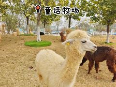-盈香心动乐园