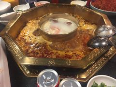 -蜀九香火锅(彩虹店)
