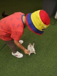 -萌宠亲子动物乐园(槐房万达店)