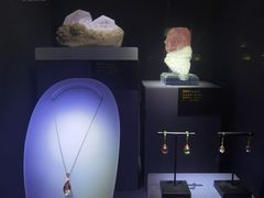 -湖南省地质博物馆