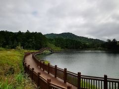 -海南热带雨林国家公园吊罗山景区