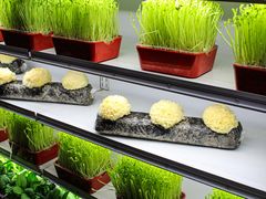 -番食园鲜食火锅(高新店)