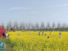 -兰陵国家农业公园