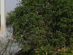 -方山风景区定林寺