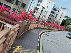 -小南山公园