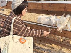 -HERRE·FARM 赫尔露营农场·团建聚会包场