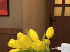 -Again Coffee Roaster(香蜜湖店)