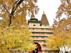 -北京石刻艺术博物馆(五塔寺)