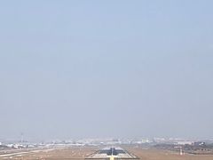 -空港花田景区
