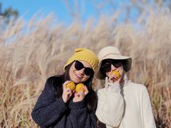-梁鸿国家湿地公园