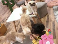 -袖虎·猫馆(体育西路店)