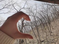 -天女山森林公园