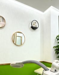 -苗医生专业祛痘·皮肤管理