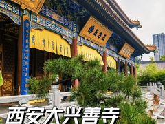 -西安大兴善寺