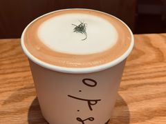 Orange&nbsp;Pillow-O.P.S. CAFE