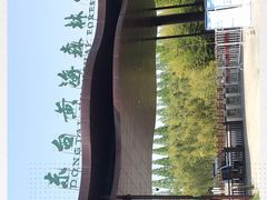 -黄海国家森林公园