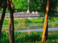 -海珠湖公园