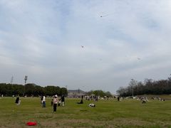 -羊山湖公园