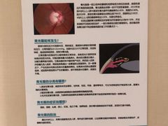 -首都医科大学附属北京同仁医院(西区)