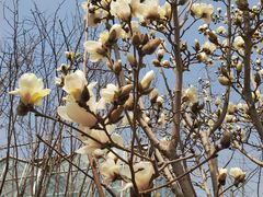 -南宫五洲植物乐园