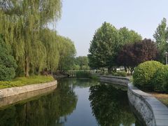 -望湖公园