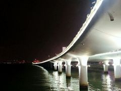 -演武大桥观景平台